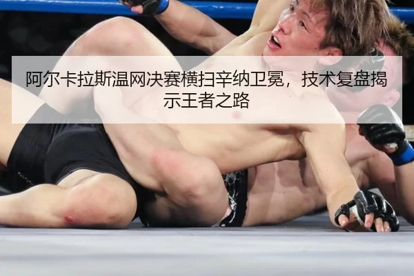 a-er-ka-la-si-wen-wang-jue-sai-heng-sao-xin-na-wei-mian-ji-shu-fu-pan-jie-shi-wang-zhe-zhi-lu-3-625.jpg
