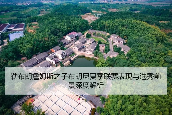 勒布朗詹姆斯之子布朗尼夏季联赛表现与选秀前景深度解析