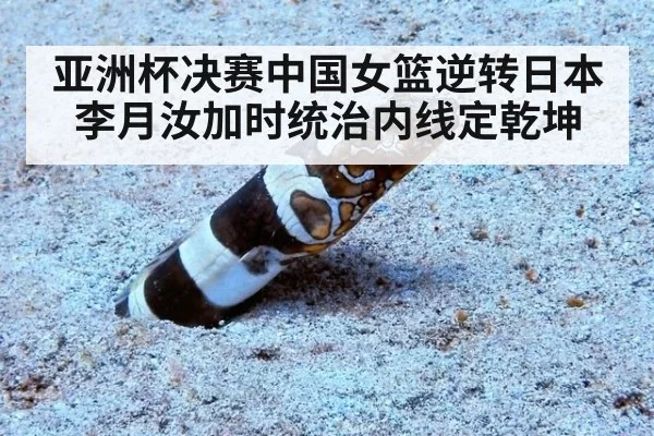 亚洲杯决赛中国女篮逆转日本 李月汝加时统治内线定乾坤